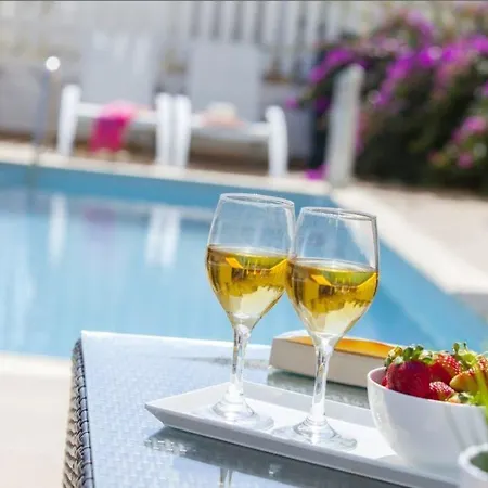 “renting A Holiday With Swimming Pool” 95 *